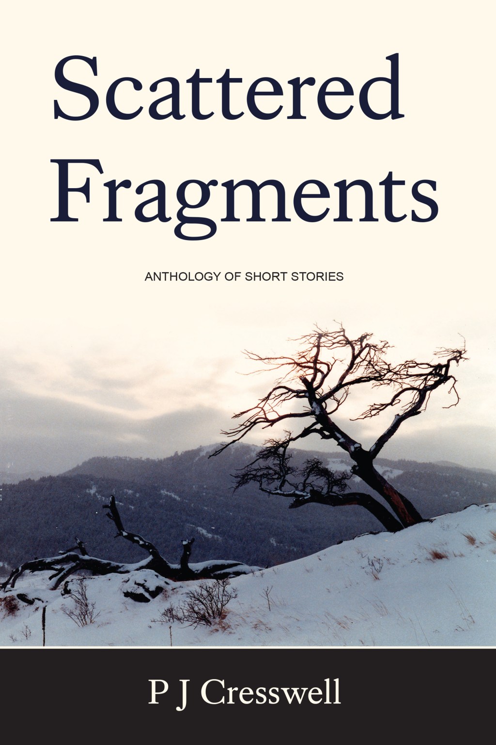 Scattered Fragments by P J&nbsp;Cresswell