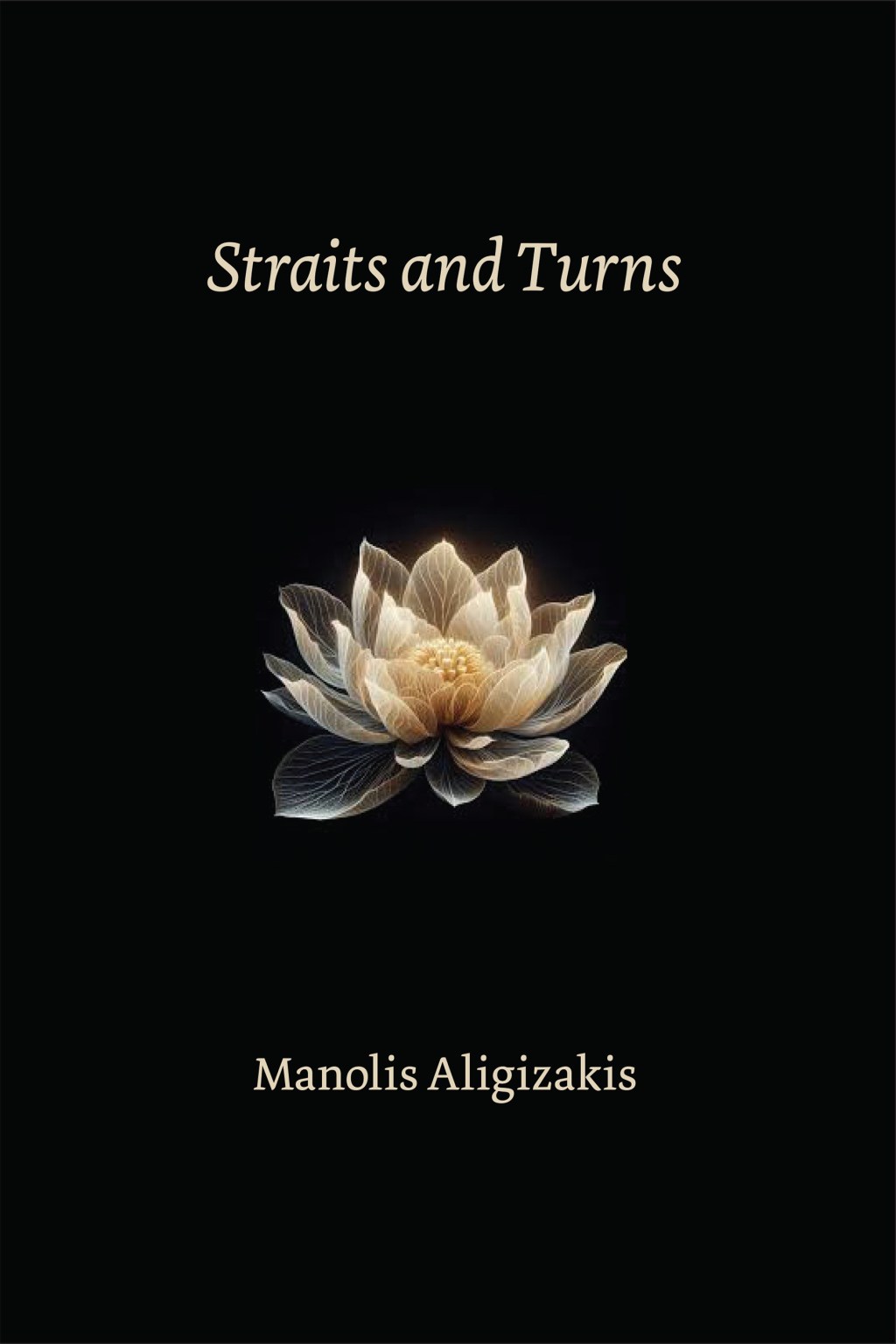 Straits and Turns by Manolis&nbsp;Aligizakis